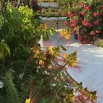 Casa de Férias La Casa Rosa *