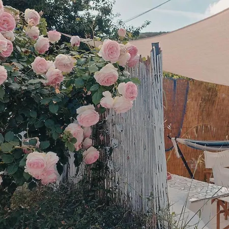 La Casa Rosa 펜션 *