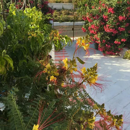 Casa vacanze La Casa Rosa *